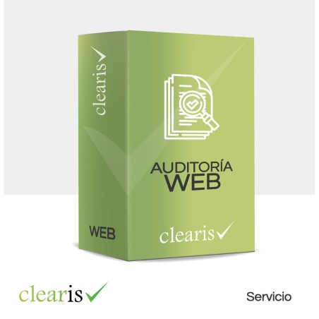 Auditoría web