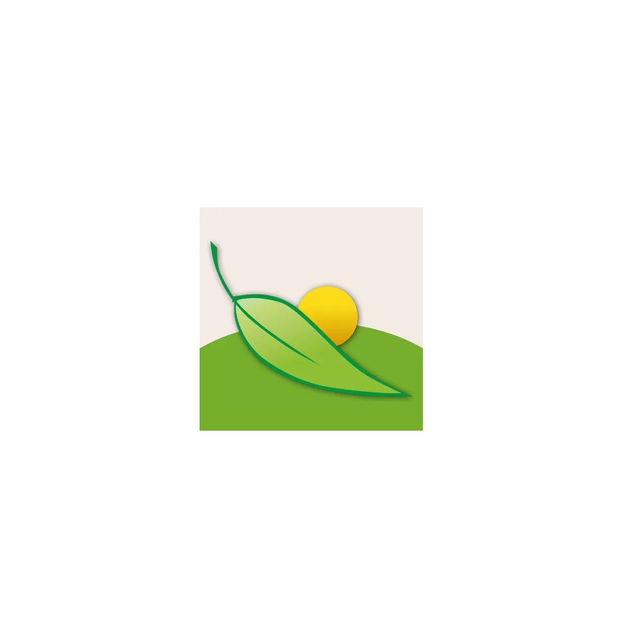 Application - Gestion des parcelles et des cultures (iFarmer - LTA)