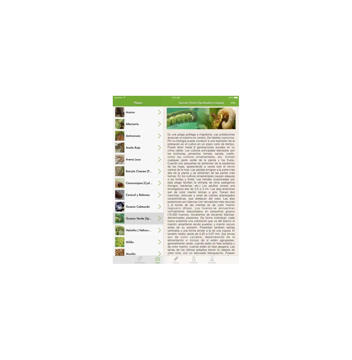 Application - Gestion des parcelles et des cultures (iFarmer - LTA)