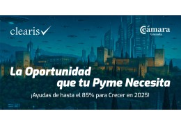 La Oportunidad que tu Pyme Necesita: ¡Ayudas de hasta el 85% para Crecer en 2025!